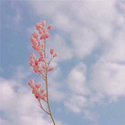 Kaiyun(云开)体育App(官方)