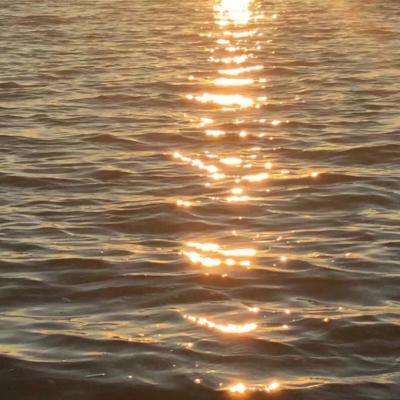 半岛网页版中国官方网站登录